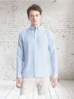 Radhe Enterpris Cotton Regular Fit Full Sleeves Men's Formal Shirt - Blue ( Pack of 1 )