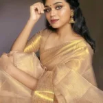 Winklecart Tissue Embellished Banarasi Saree Without Blouse Piece ( Beige )